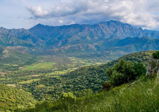 Grassy hillside with foggy clouds in the sky