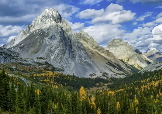 Tall mountain with yellow and green trees on the ground level
