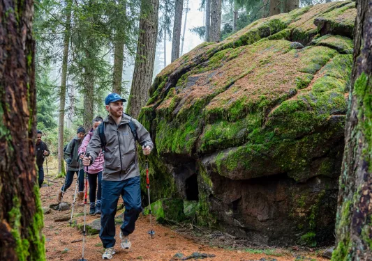 Group of people hiking through a forest with tall trees and large boulder