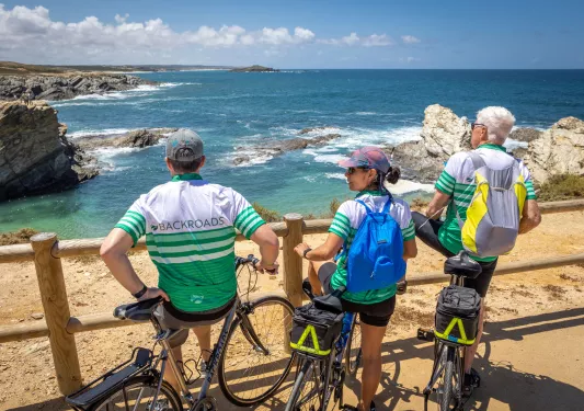 Group of bikers leaning on railings, looking out towards the ocean
