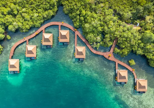 Sky view of hotel cottages by the ocean and the jungle in the background