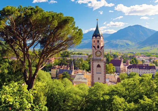 Town surrounded by tall trees, with a church clocktower in the center