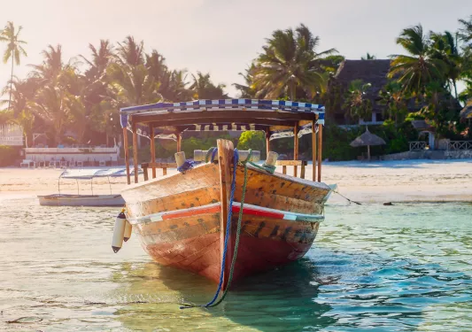 Boat by the ocean coast, with large palm trees in the background