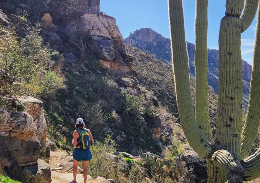 Woman hiking on a trail in the desert, surrounded by cliffs and cacti