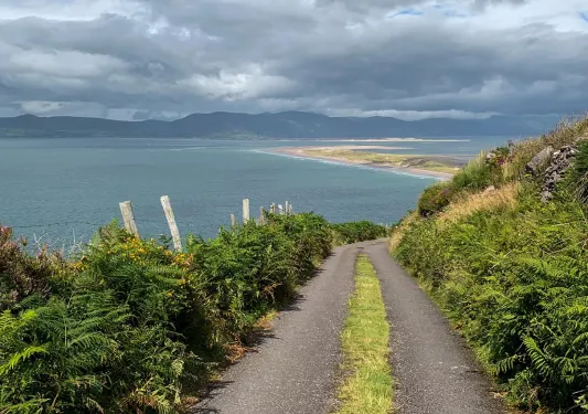 Gravel road leading to an beach shore
