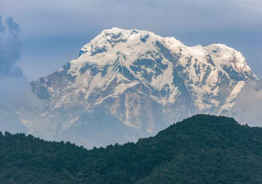 Large forest with tall, snow mountains in the background