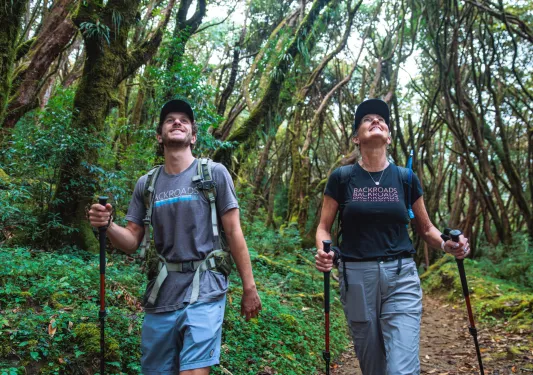Man and woman hiking in a forest, looking up to the sky