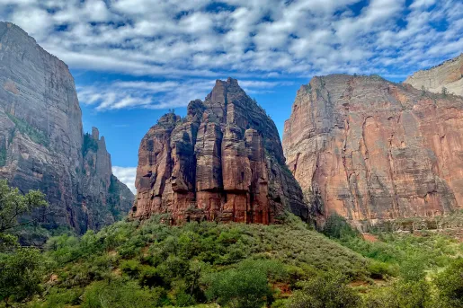 Wide shot of cliffs in Zion, clouds, bushes, etc.
