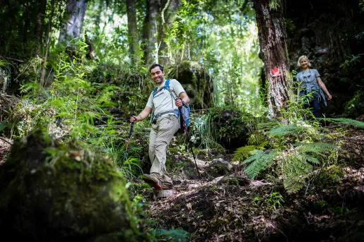 Two guests trekking though lush jungle.