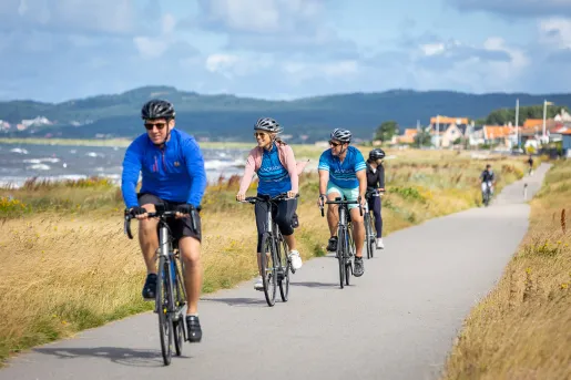 Guests biking along ocean path
