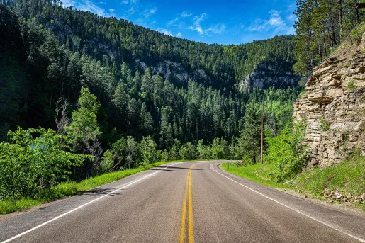 A scenic route with trees and mountains in the background 