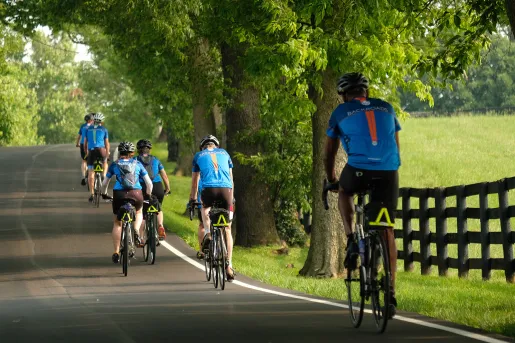 Group of guests cycling down shaded forest road.