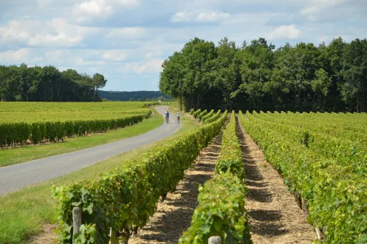Backroads Guests Biking Past Fields