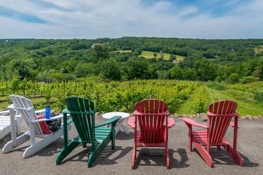 Four seats facing out towards a vineyard and forest.