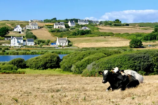 Post Card of Normandie