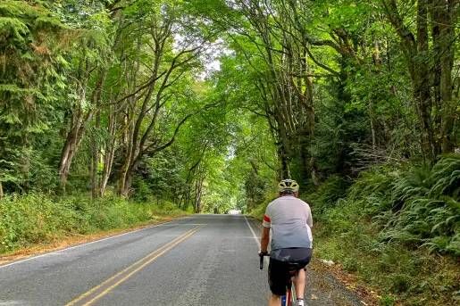 A cyclist rides down a two-lane  road with thick, lush green trees that form a dense canopy overhead.