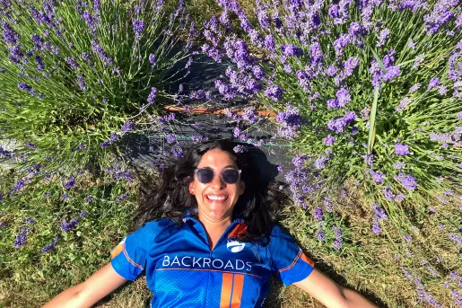 Guest laying among lavender bushes.