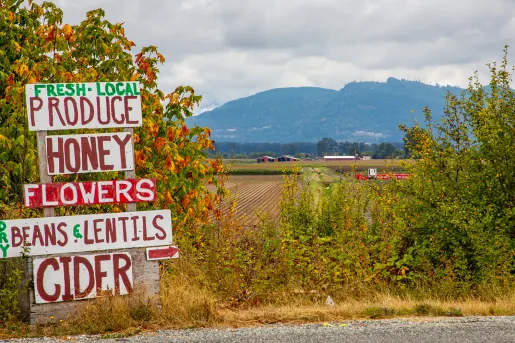 "LOCAL PRODUCE" sign, crops and farm in background.