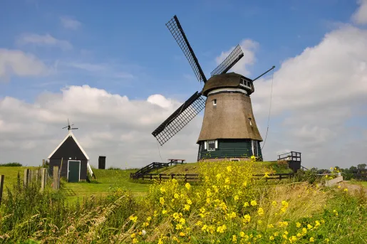 Windmill in the countryside