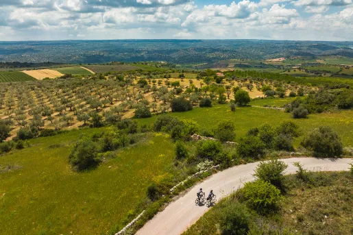 Bird's eye shot of two guests cycling in Medit. wine country.