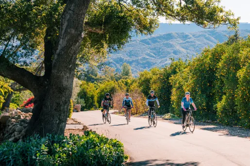 Guests riding past tall flower bushes in desert.