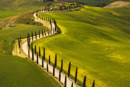 Bird's eye shot of tree-lined road, towards small countryside house.