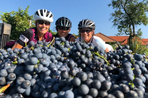 Three bikers posing behind a huge pile of grapes