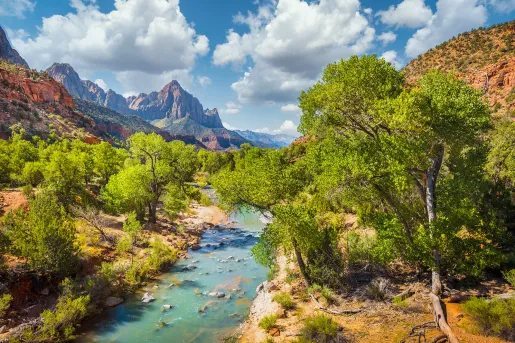 Wide shot of desert valley, blue stream, trees, cloudy sky.