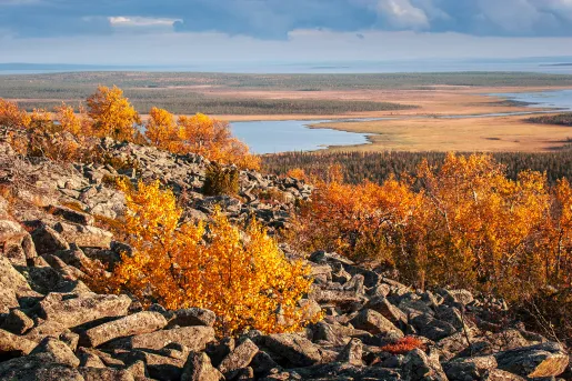Wide shot of craggy, golden hillside, marshland in distance. 