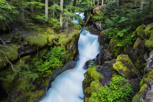 Scenic waterfall surrounded by lush green forest