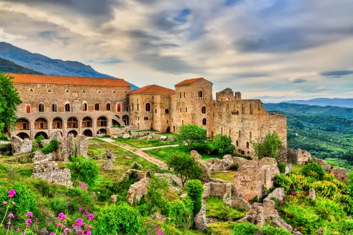 Wide shot of the Castle of Mystras and it's surrounding jungle.