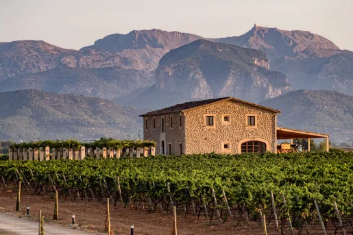 Wide shot of vineyard, stony building, craggy mountains in distance.