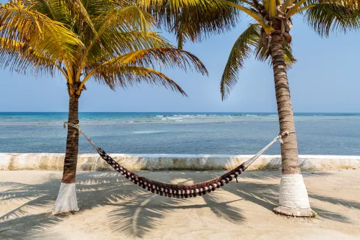 Hammock Suspended Between Two Palm Trees