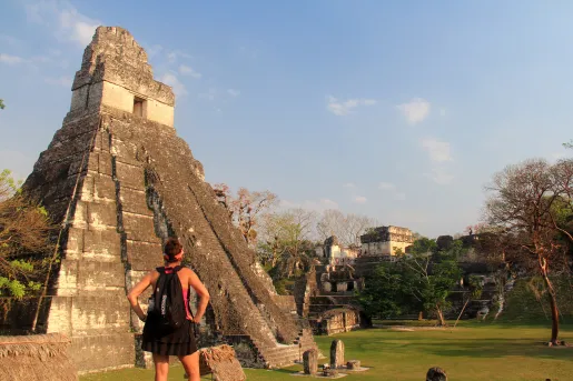 Maya Ruin Guest Gazing Up