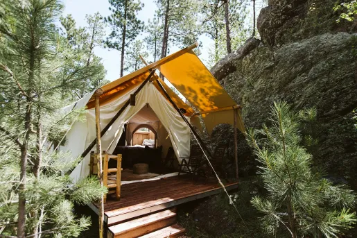 Glamping tent in the forest