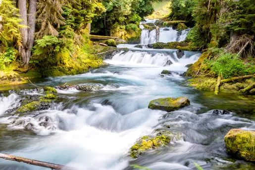 Shot of flowing river among mossy forest.
