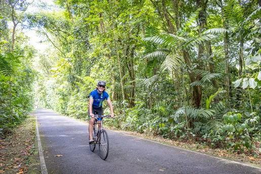 Riding Trough Jungle Costa Rica 