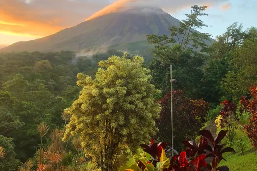 Trees and Sunrise Clouds Shrouding Mountain Top