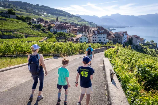 Four guests walking towards vineyard town, cat walking beside them.