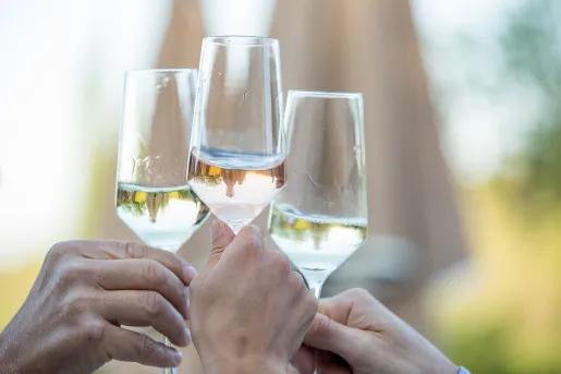 Guests toasting with champagne