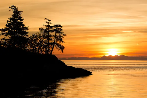 Shadowy forest during sunset, craggy mountain peaks in distance.