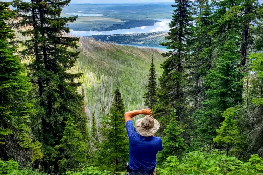 Backroads guest lining up the perfect picture of green forest