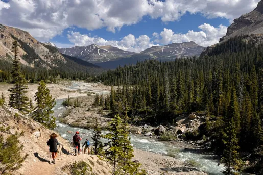Three guests hiking down hillside, towards flowing stream, mountains, forest.