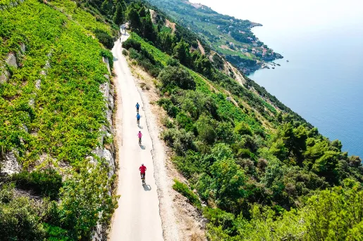 Guests cycling down forested coastal road, ocean to their right.