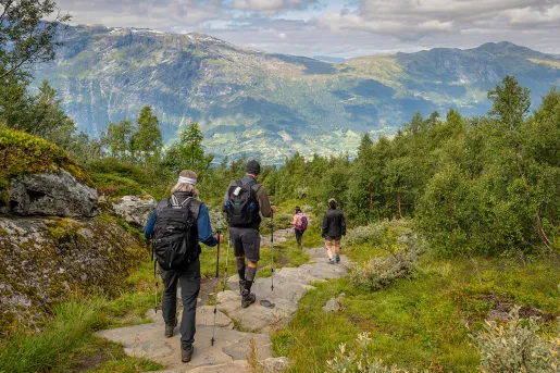 Hiking Down Stone Path