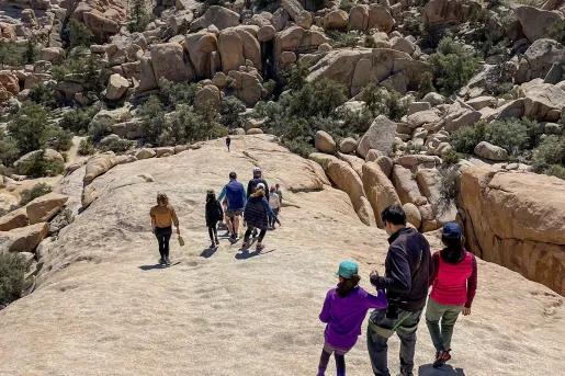 Guests walking down hill, into craggy desert landscape.