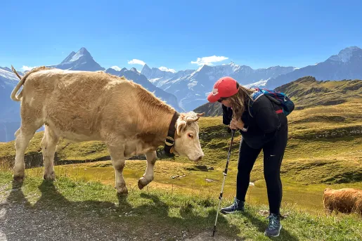 Guest talking to cow, mountain in background.