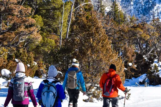 Backroads guests cross country skiing downhill