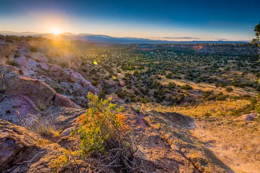New Mexican desert during sunrise