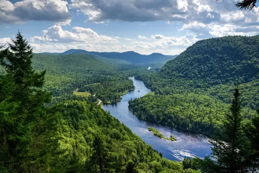 Bird's eye shot of large forest, river below.